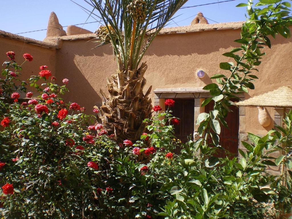 Maison D' Hotes Ait Hmid Nkob Kültér fotó