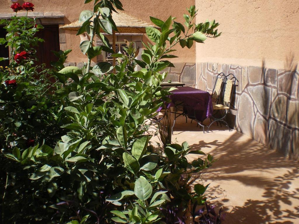 Maison D' Hotes Ait Hmid Nkob Kültér fotó